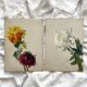 2 paintings on old cardboard dahlia flowers