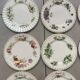 Set de 12 assiettes royal albert « mois de l’année »