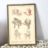 Old fashion engraving Empire 1827 "Parisian Costumes" Satin hats, velvet, blonde