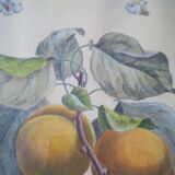 Framed botanical poster