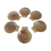 6 porcelain shells