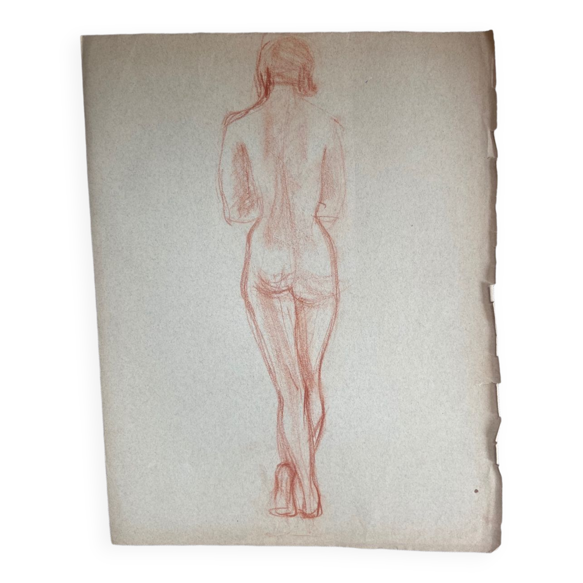 Female nude drawing