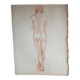 Female nude drawing