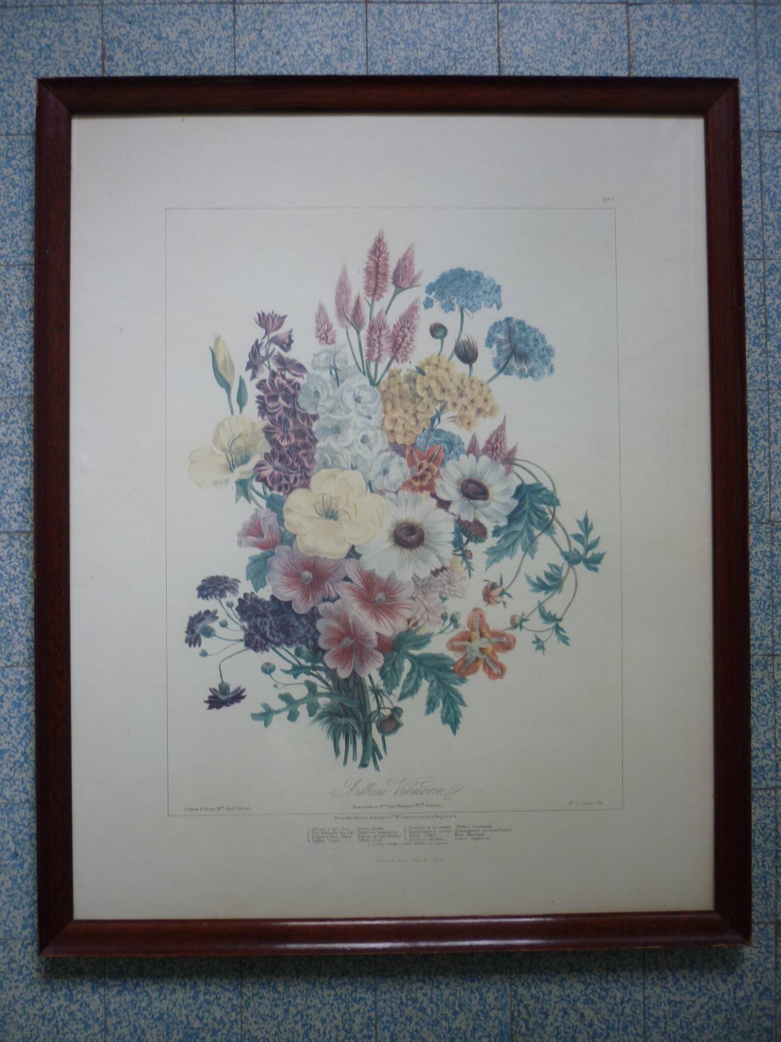 Framed Vilmorin lithograph, bouquet No 7, 1857, E. Champin