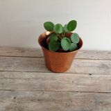 Cache hammered copper pot