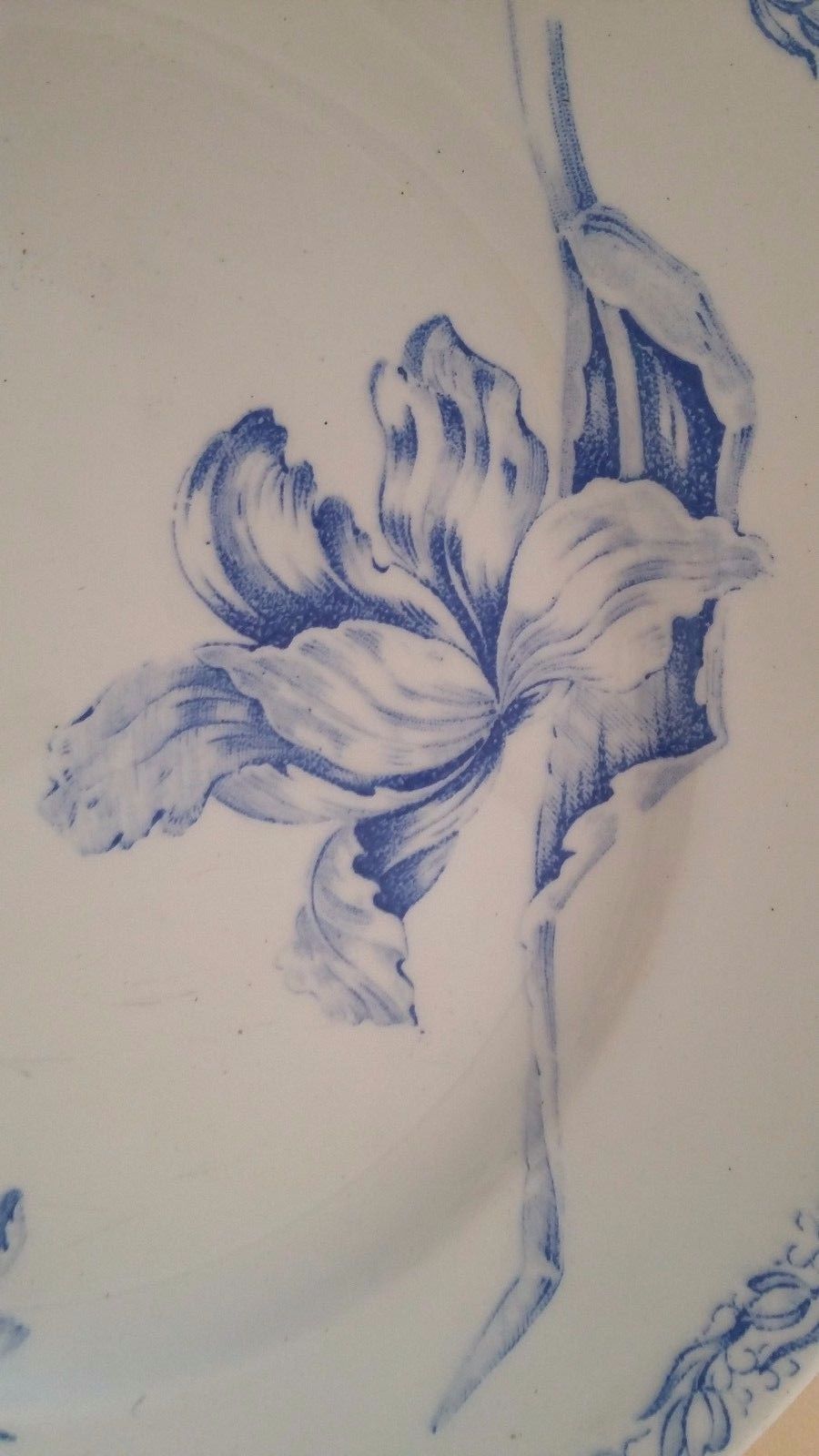 Plate faience luneville kg blue tulips