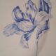 Plate faience luneville kg blue tulips