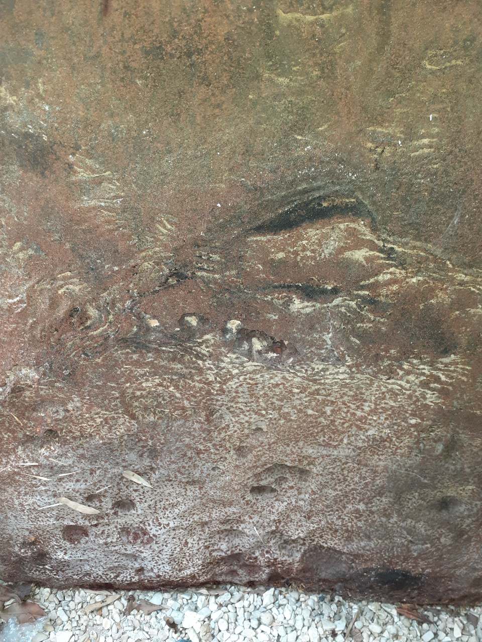 Old cast iron fireplace plate with lily flowers