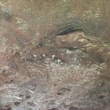 Old cast iron fireplace plate with lily flowers