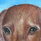 Vintage original dog portrait oil painting, signed animal art