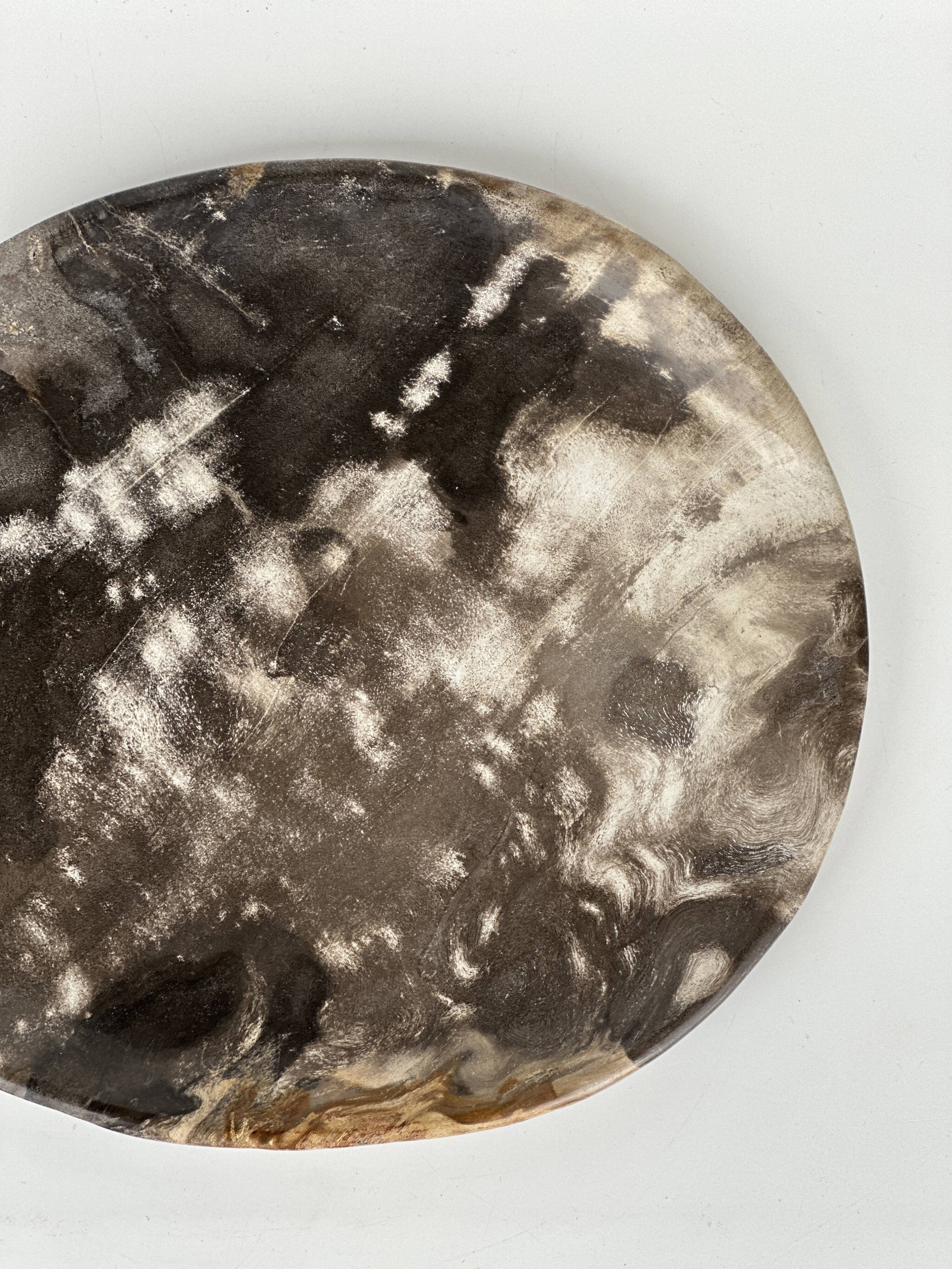 Dish in petrified wood