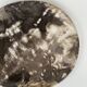 Dish in petrified wood