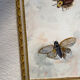 Oil painting