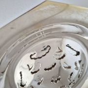 Antique butter dish in the Coquillor style, made of silver-plated metal.