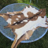 Goat skin