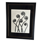 Héliogravure / Photogravure originale, encadrée -  Karl Blossfeldt - 1942