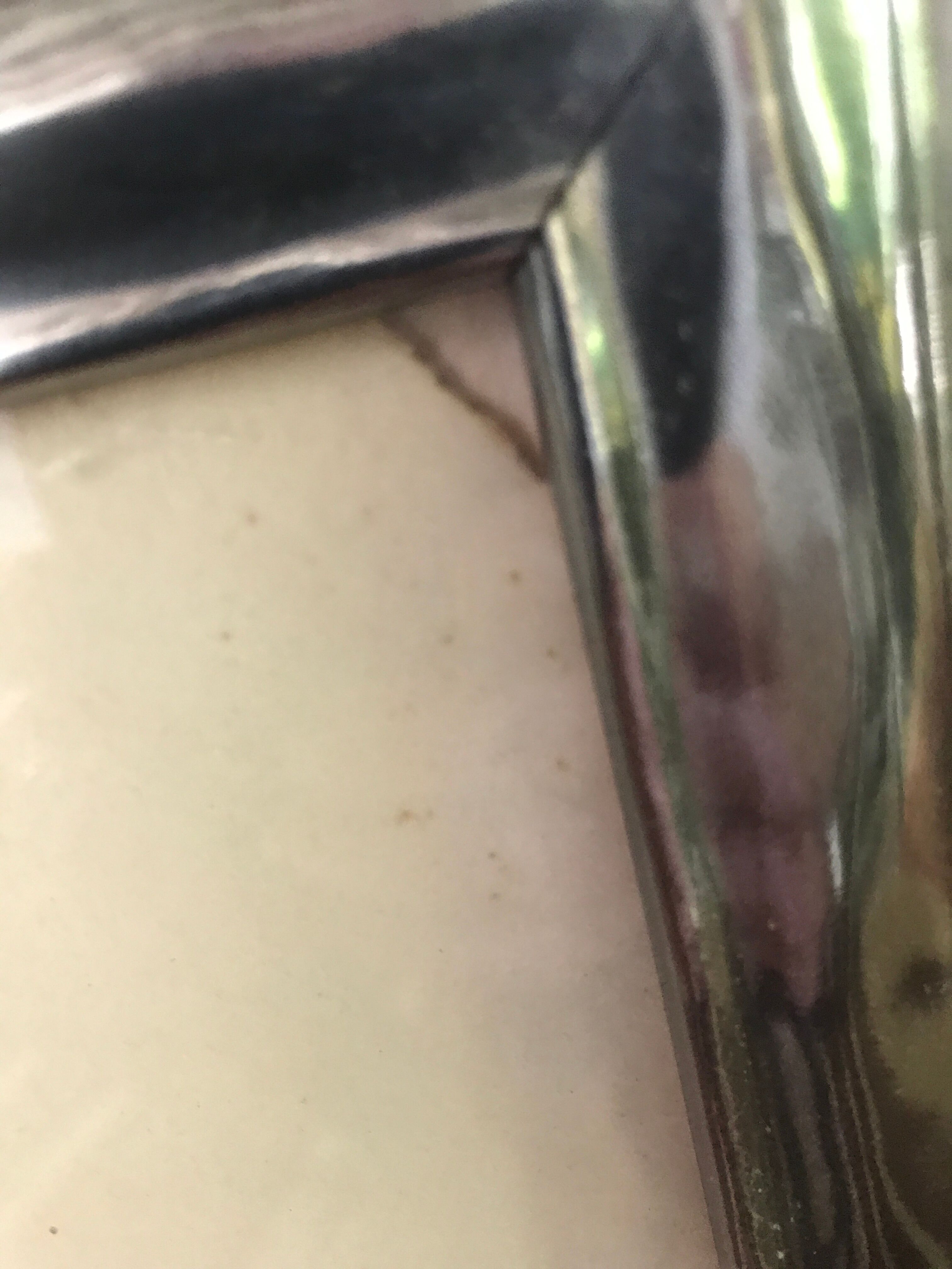 Lot of 2 orientalist photos signed