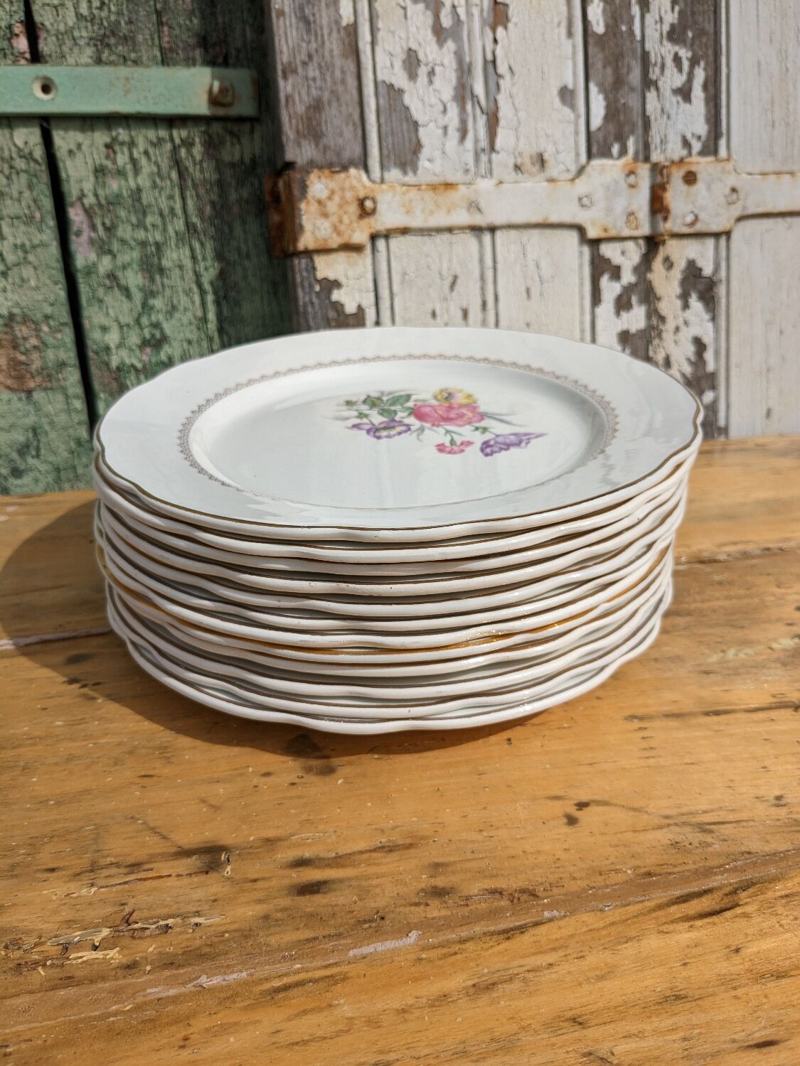 Set of 12 flat plates Digoin Sarreguemines