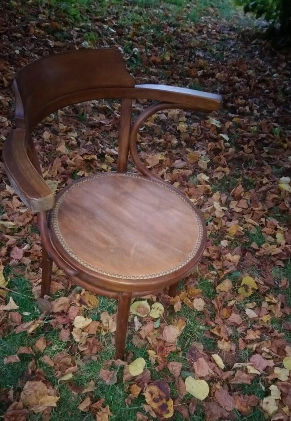 Fauteuil de bureau Thonet