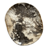 Very large pocket or dish in petrified wood