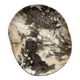 Very large pocket or dish in petrified wood