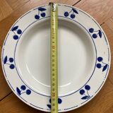 Fruit bowl decorated with blue cherries