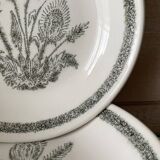 Set of 6 soup plates with thistles