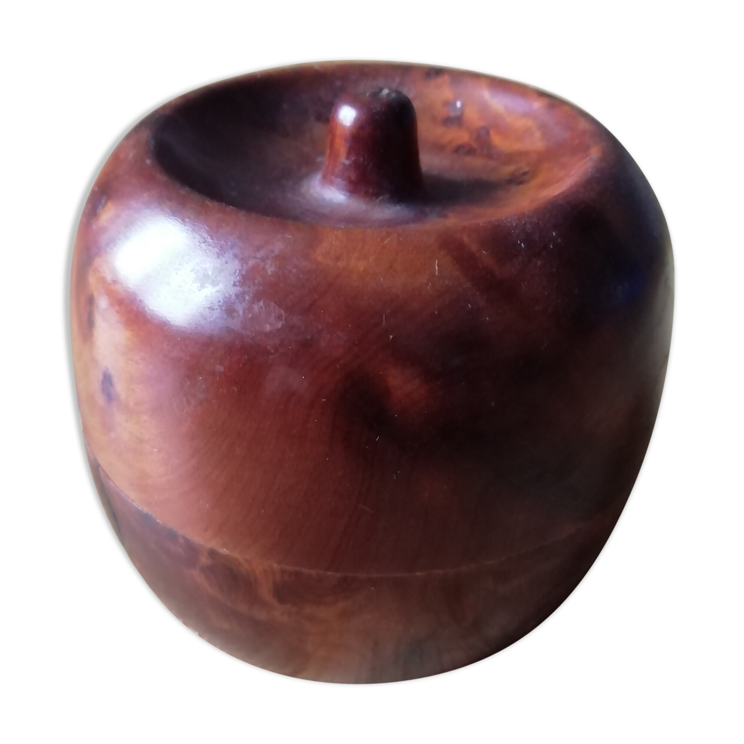 Apple box in thuya magnifying glass