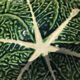 2 bowls slurry cabbage