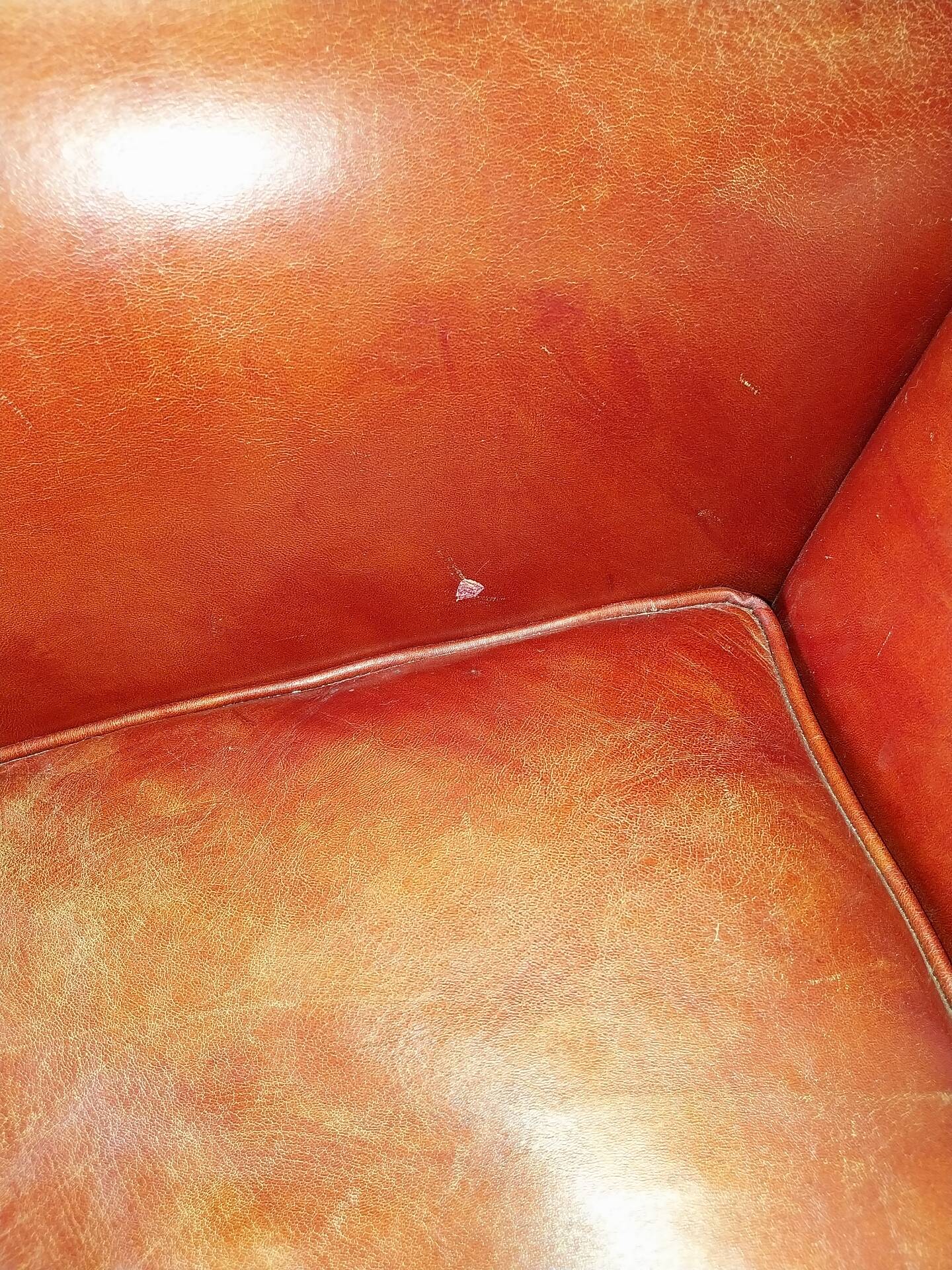 Edgar club armchair