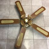 ceiling fan
