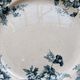 Antique dessert plate, ironstone, Moulin des Loups, Marie Louise.