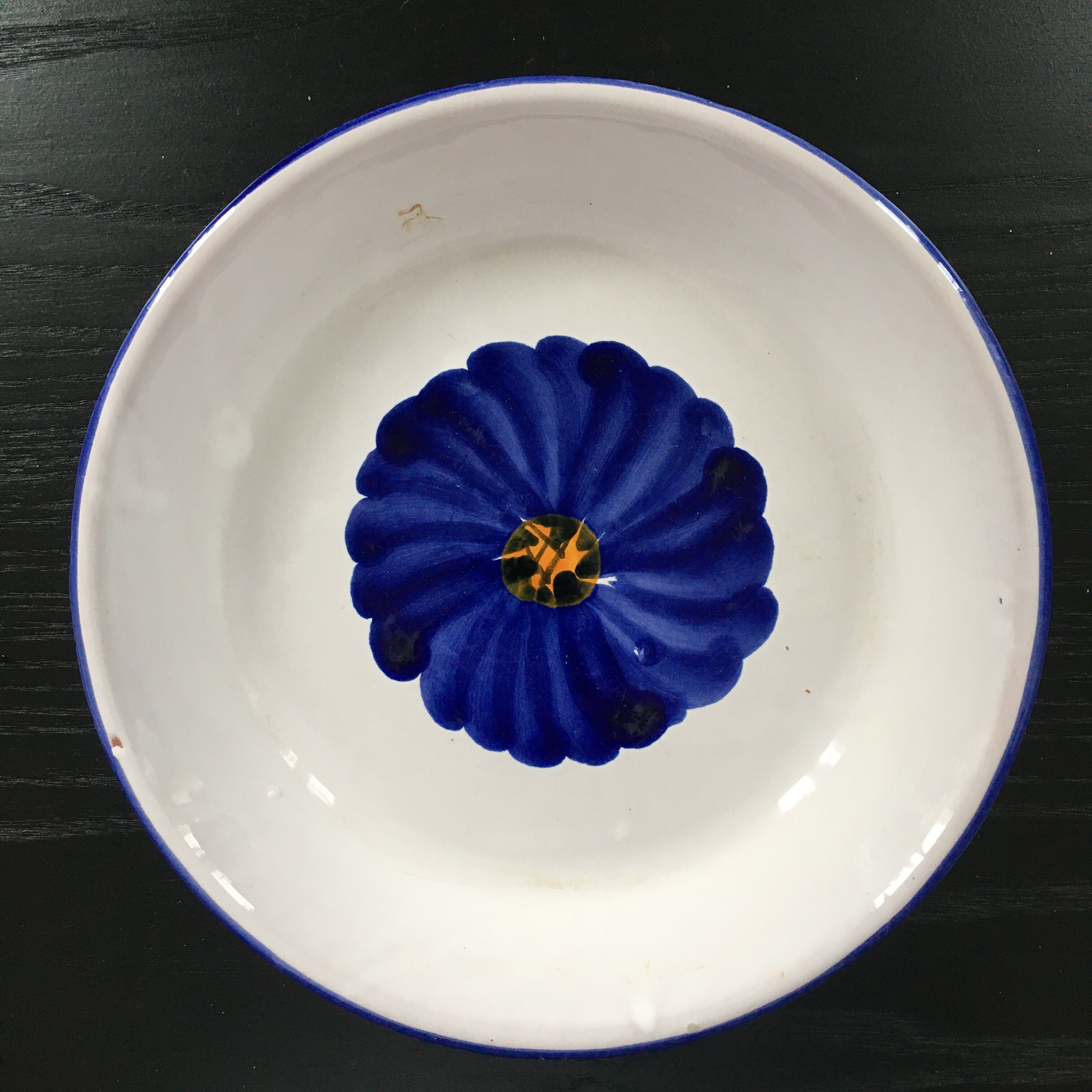 Soucoupe fleur bleue