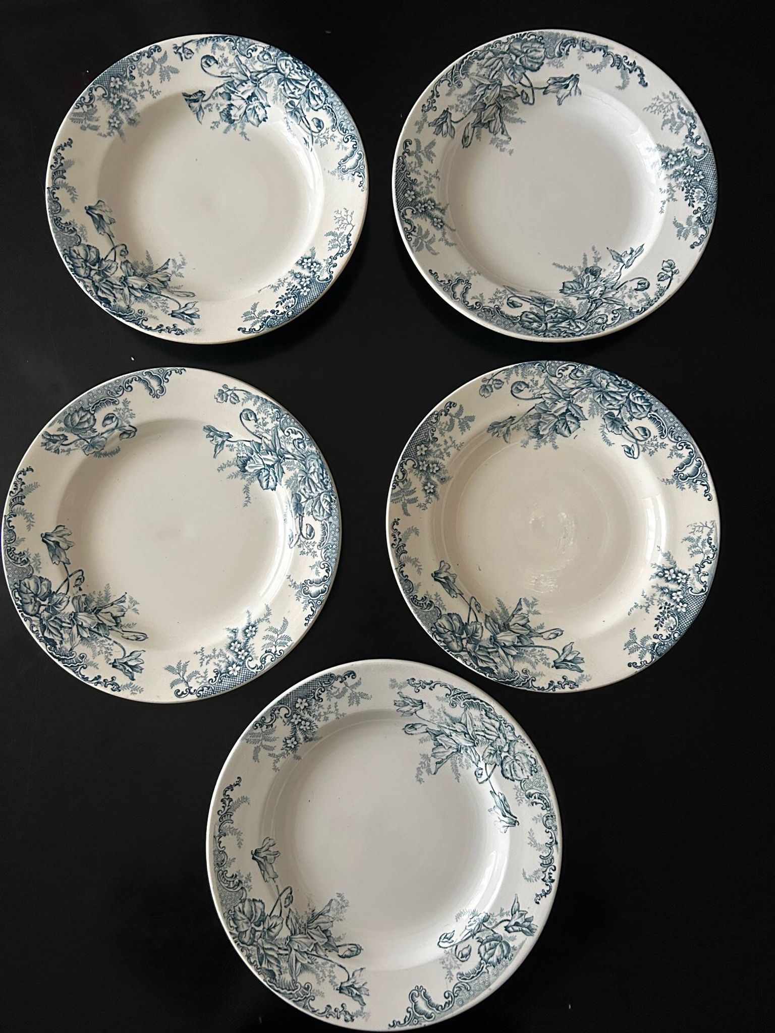 13 deep plates Terre de fer Cyclamens Louis Graves