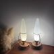 Paire de lampes vintage Philips