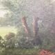 Old painting signed HST landscape dimension: height -33cm- width -41cm-
