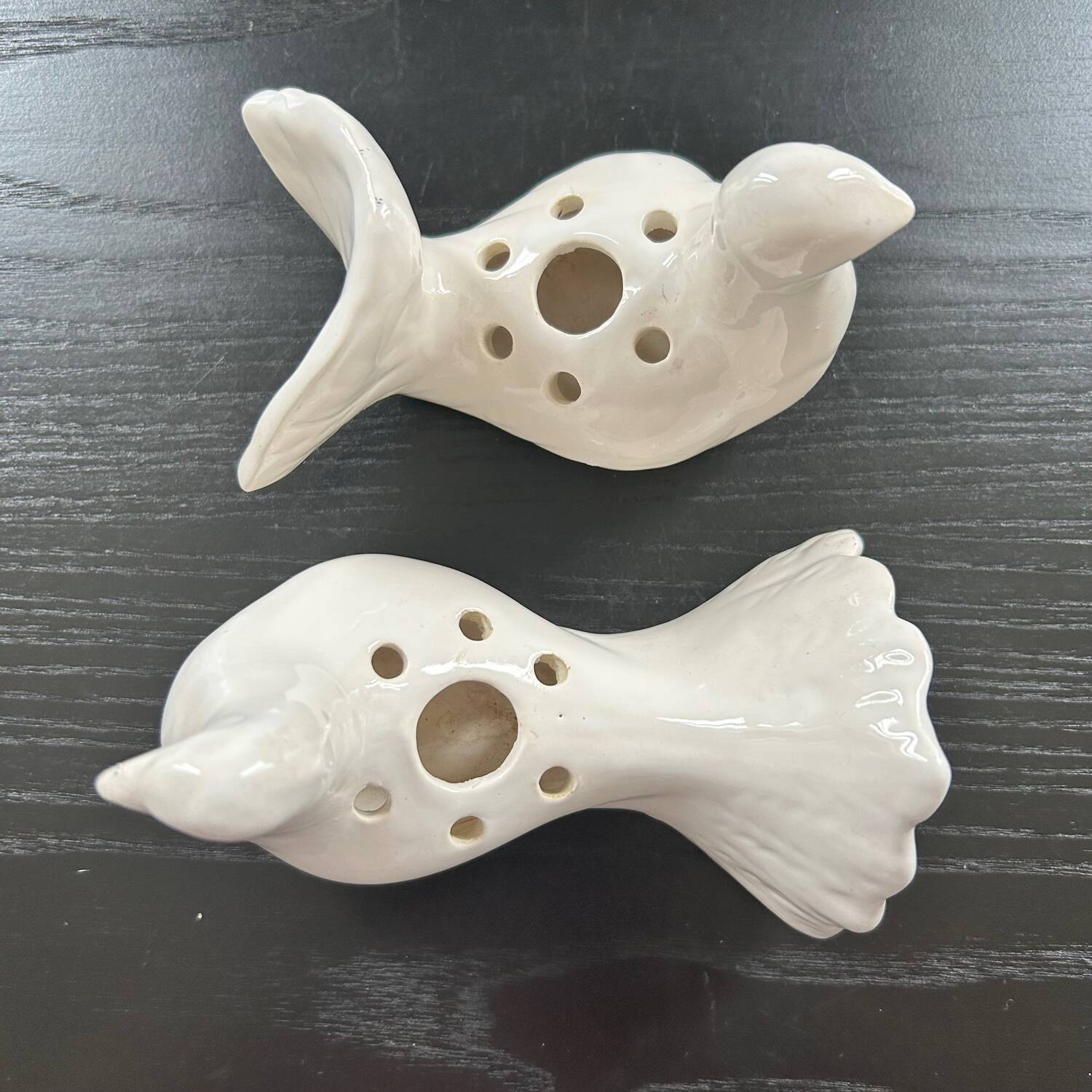 Duo of doves pecking flowers