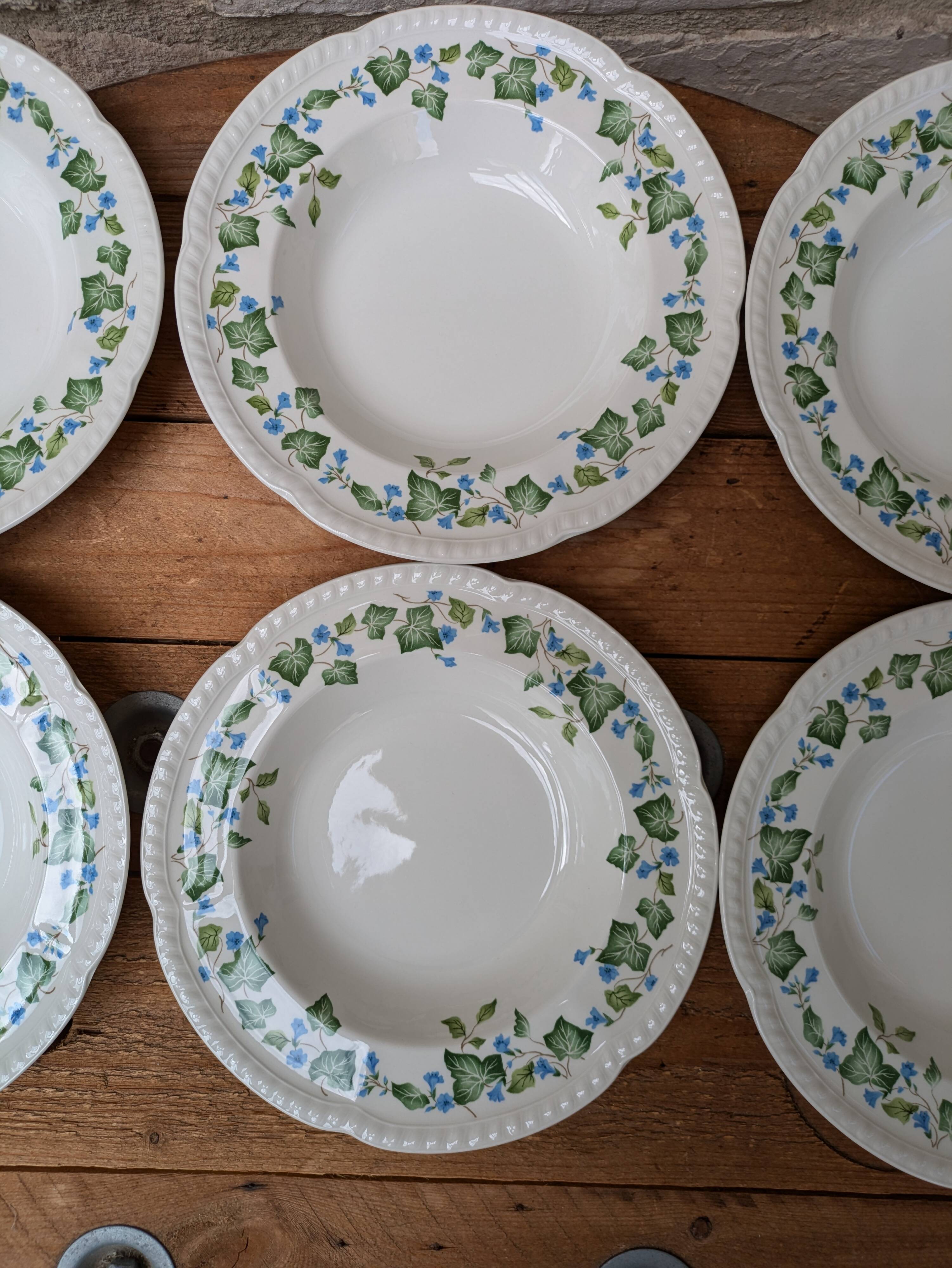 Johnson Brothers Set of 6 Ivy Leaf and Flower Blue Dinner Plates