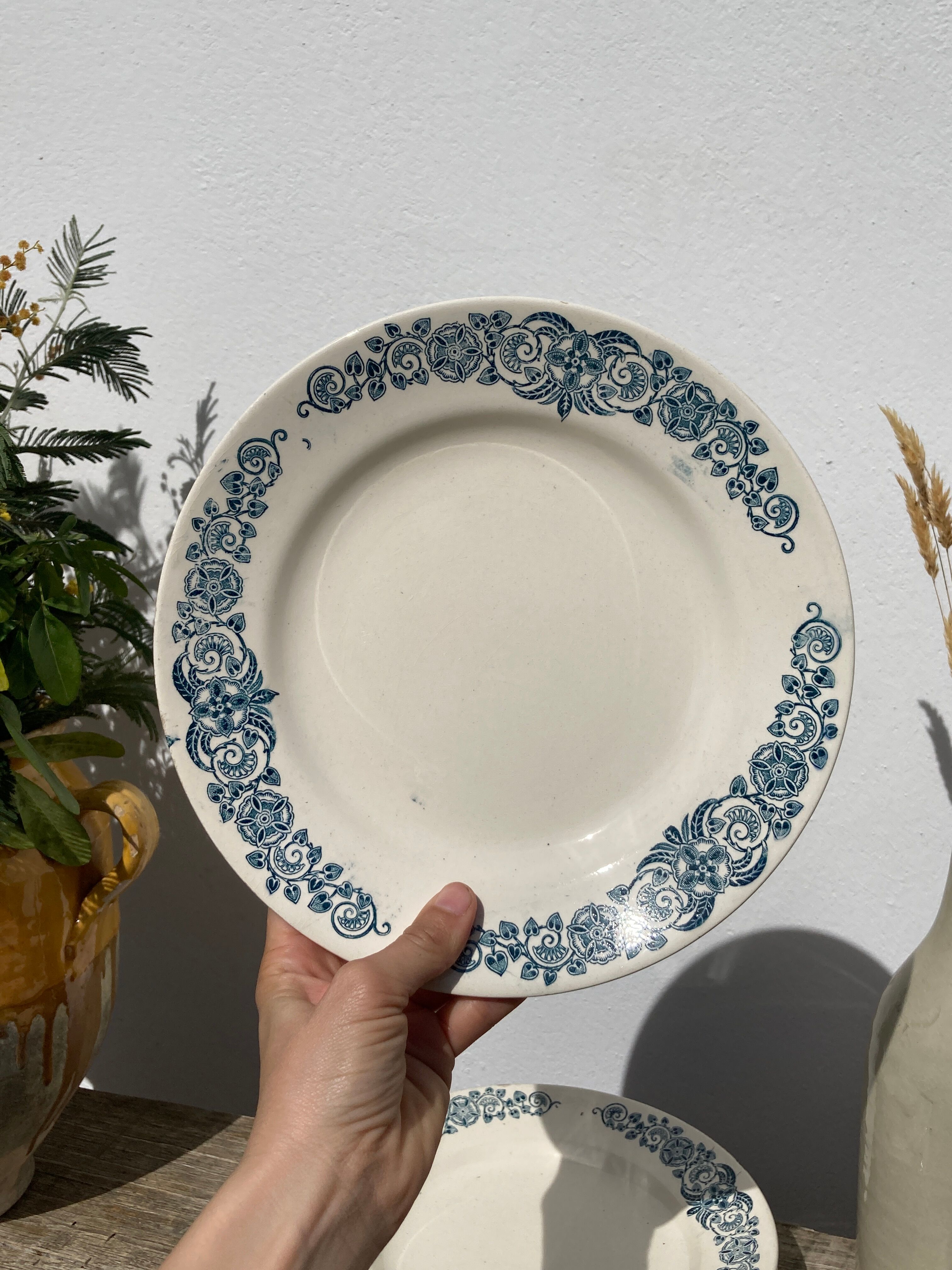 Set of 8 flat plates iron earth model Longchamp Alésia