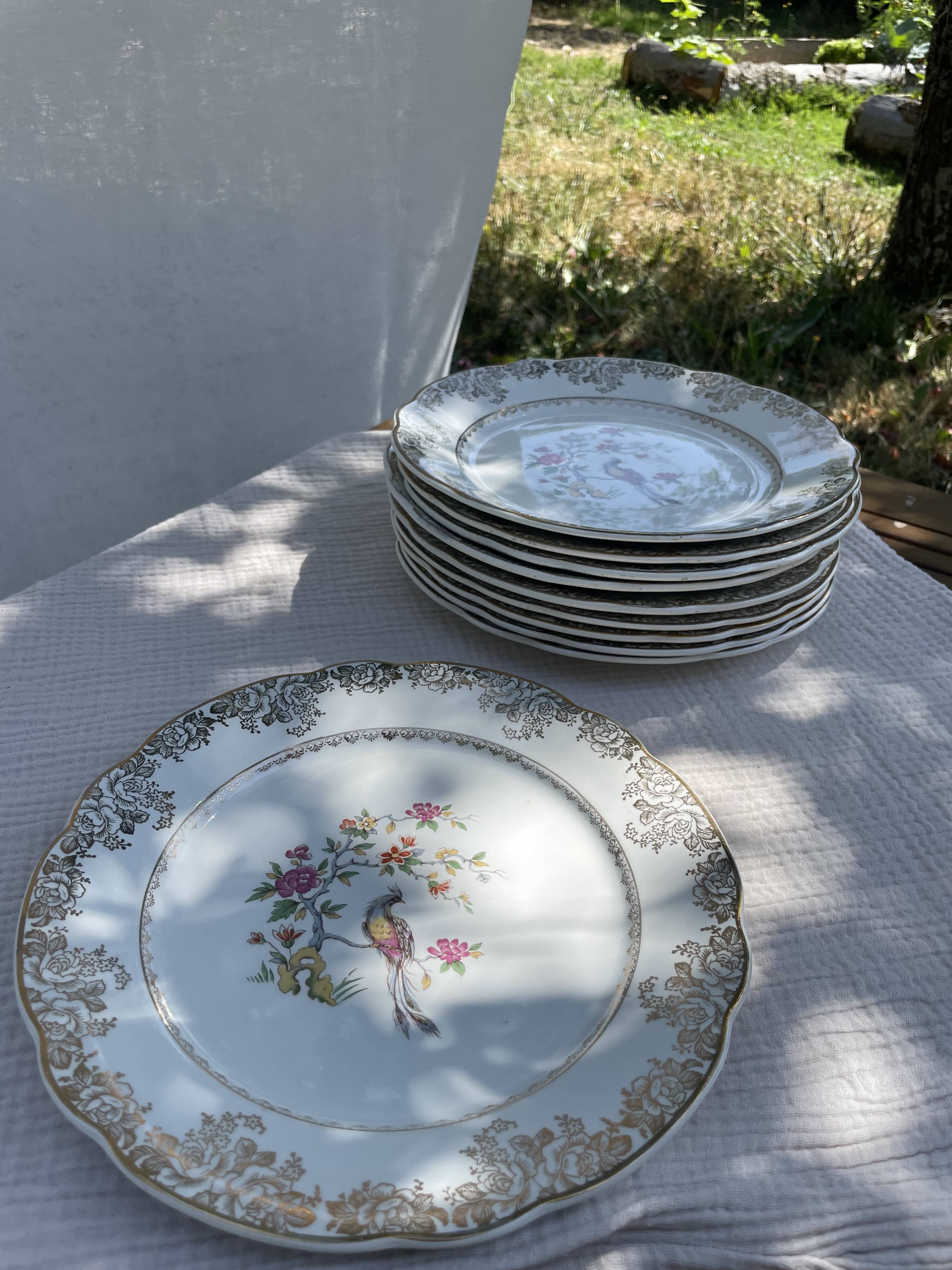 Set of 10 vintage French plates – Digoin Sarreguemines, collection