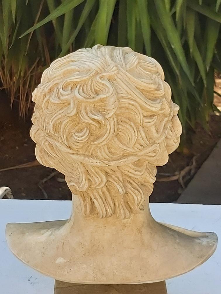 Plaster and marble bust