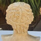 Plaster and marble bust