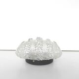Molded glass bubble wall lamp