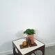 Vintage oude houten boekensteun