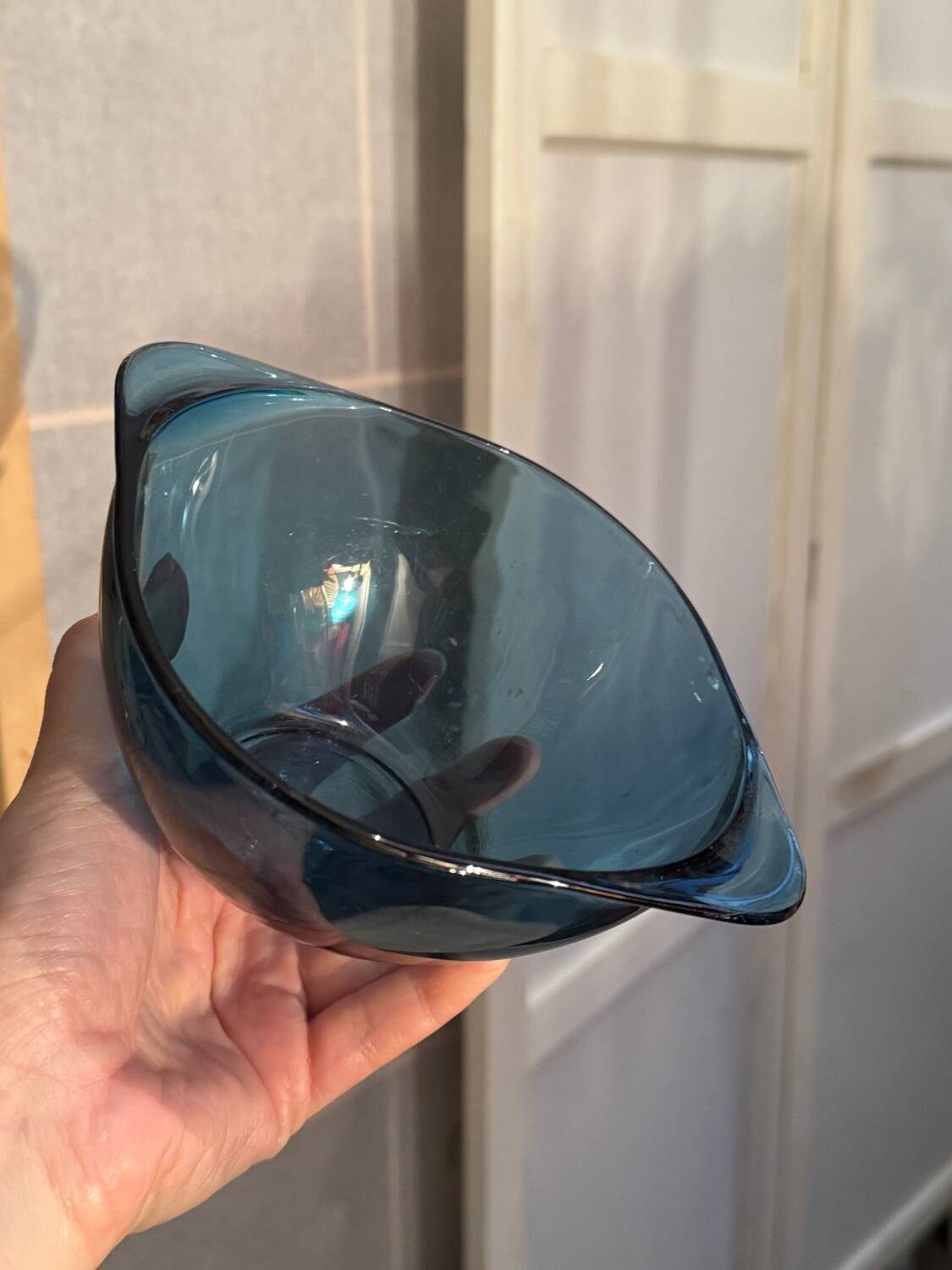 Bol Vereco à oreilles bleu