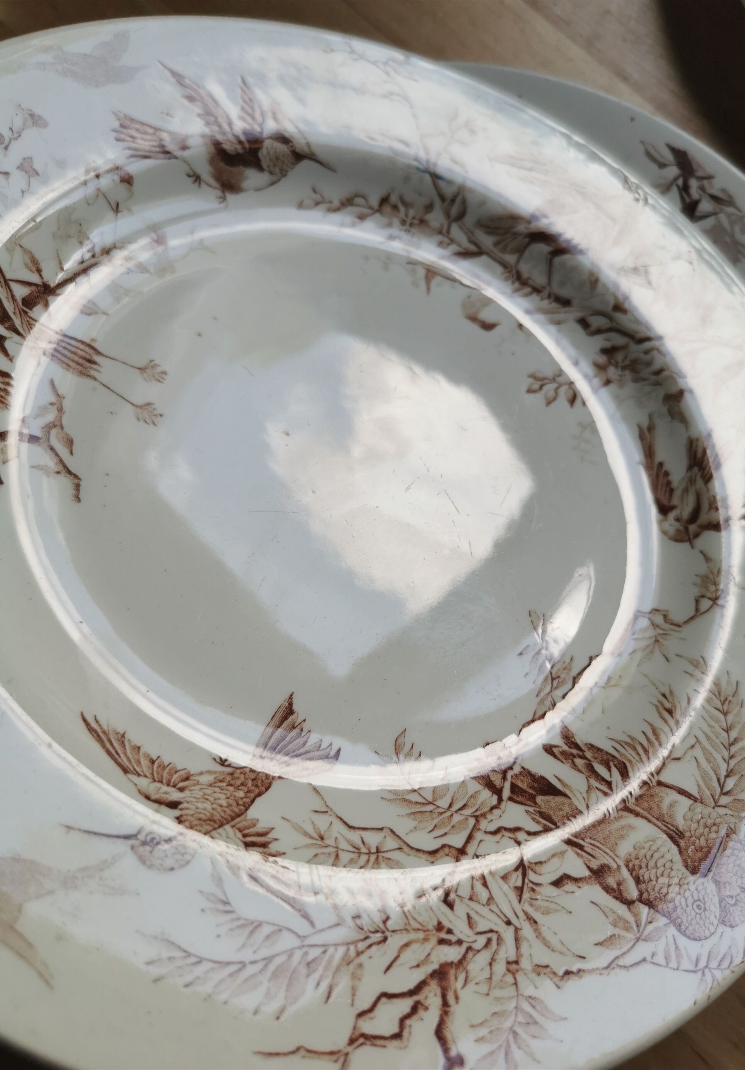 Lot of 8 Colibri luneville plates