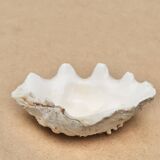 Holy water stoup shell emptier, 1970s