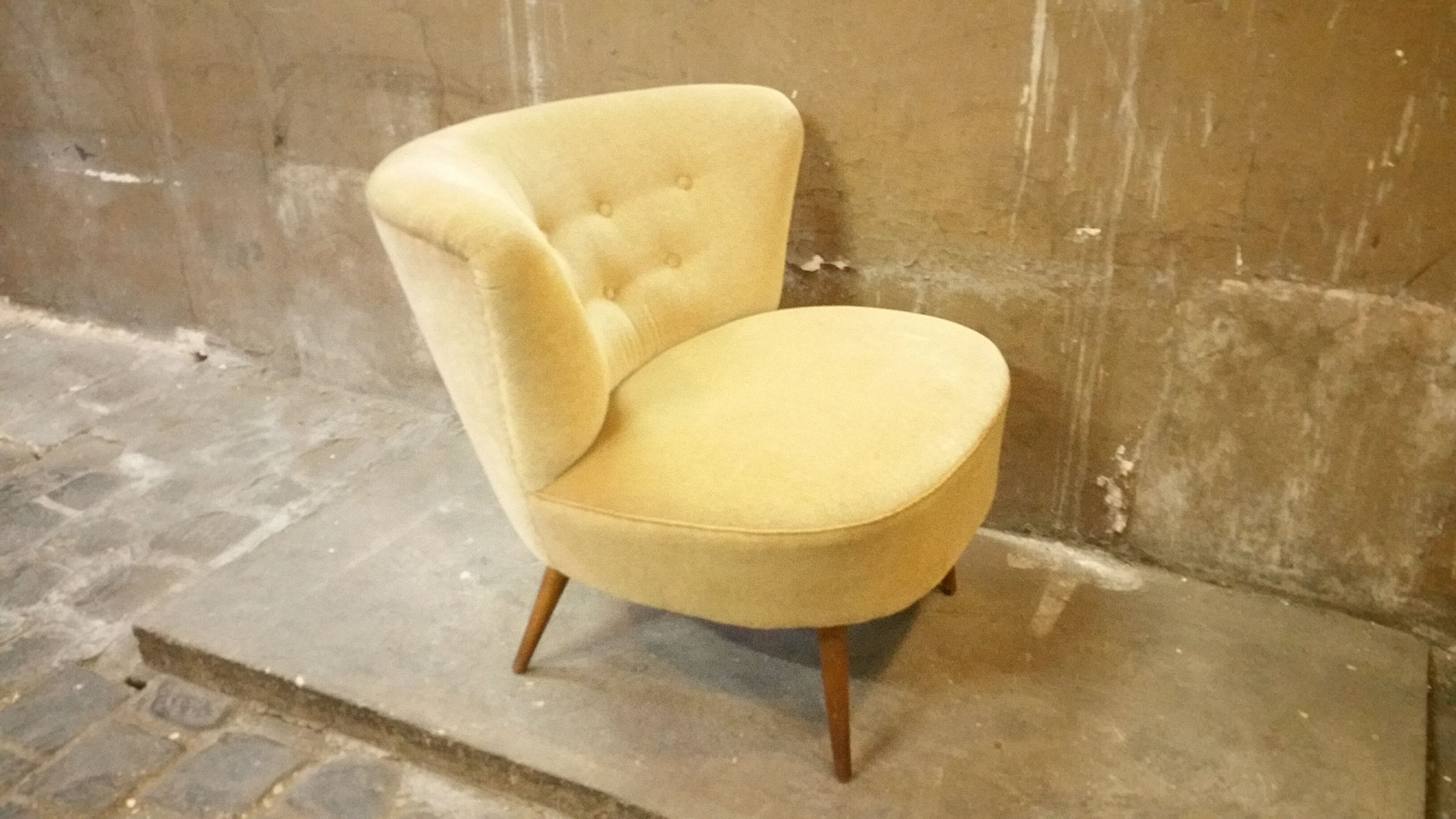 Chair Chair 50s Toad