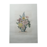 Lithograph by prévost english vase