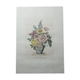 Lithographie par Prévost vase anglais